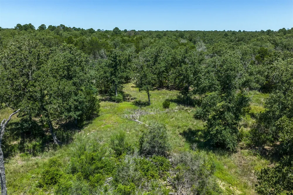 492 S Old Potato Road Paige, TX 78659