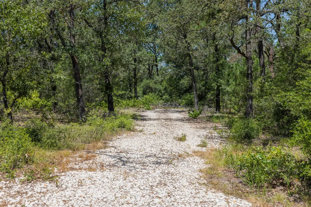 492 S Old Potato Road Paige, TX 78659