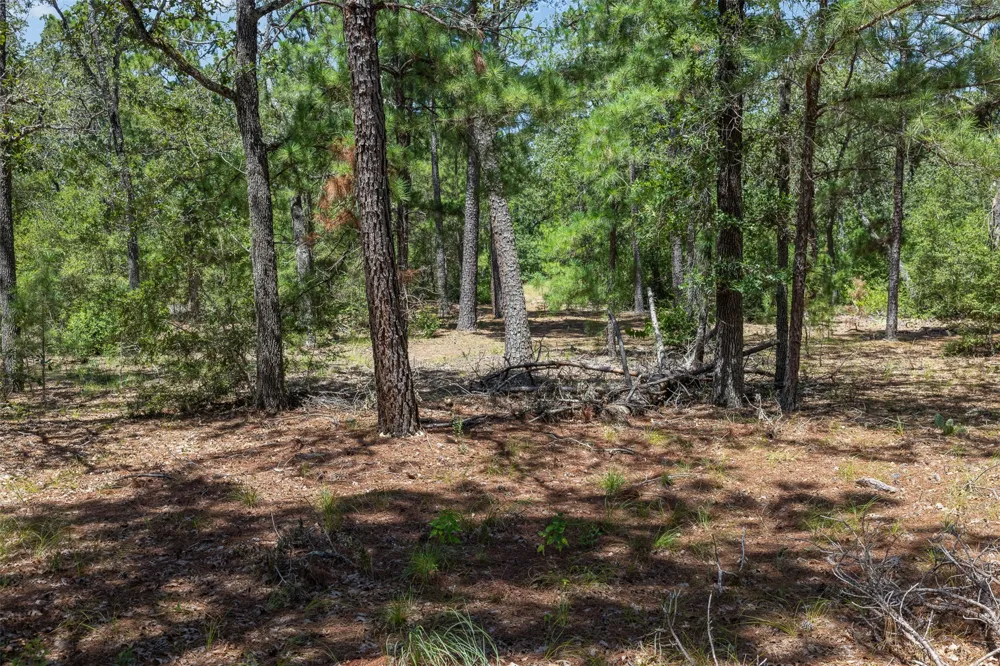 492 S Old Potato Road Paige, TX 78659