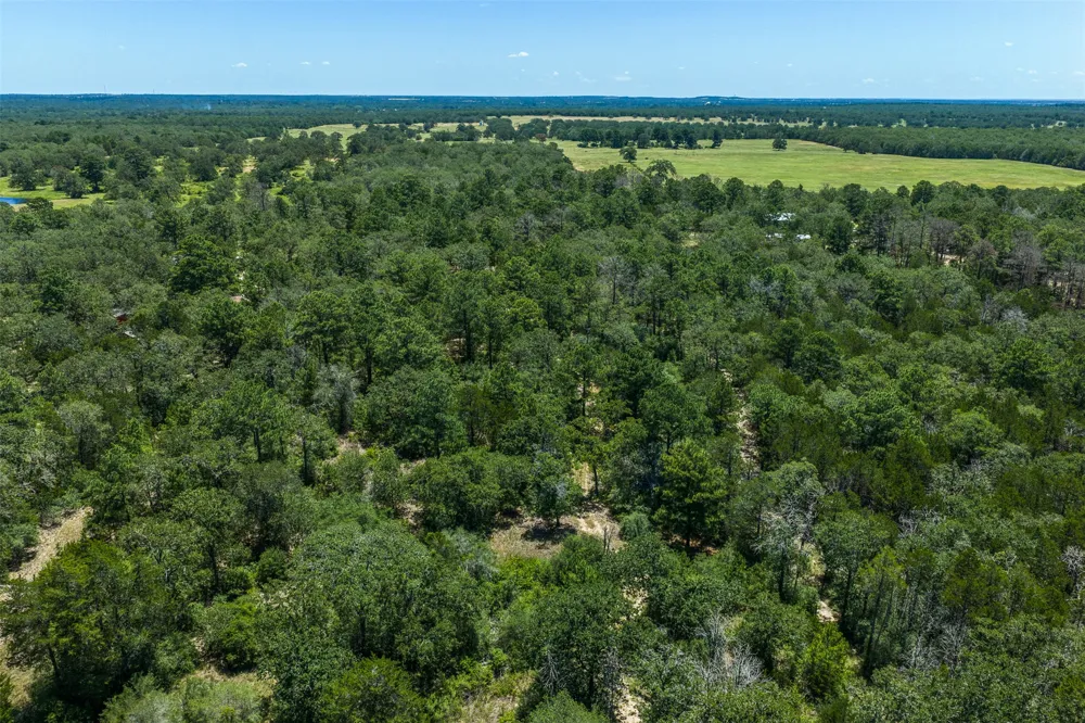 492 S Old Potato Road Paige, TX 78659
