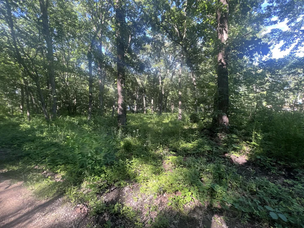 13926 Fairbanks Street Cedar Lake, IN 46303