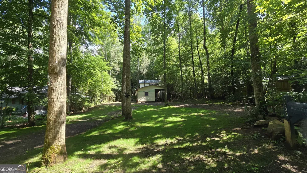 1536 Creek RD Hiawassee, GA 30546