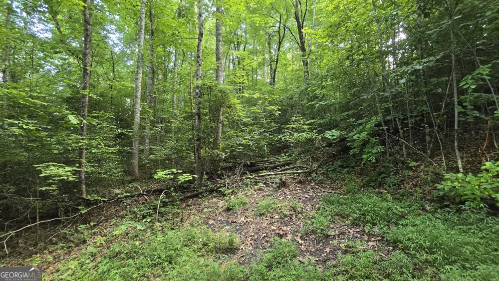 LOT 14 Kilpatrick Point Terrace Hayesville, NC 28904