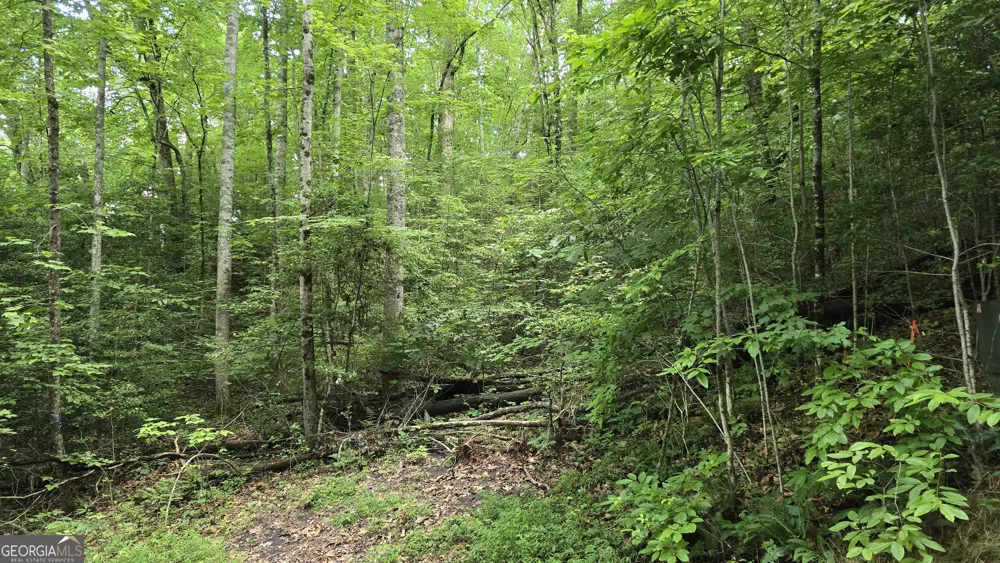 LOT 14 Kilpatrick Point Terrace Hayesville, NC 28904