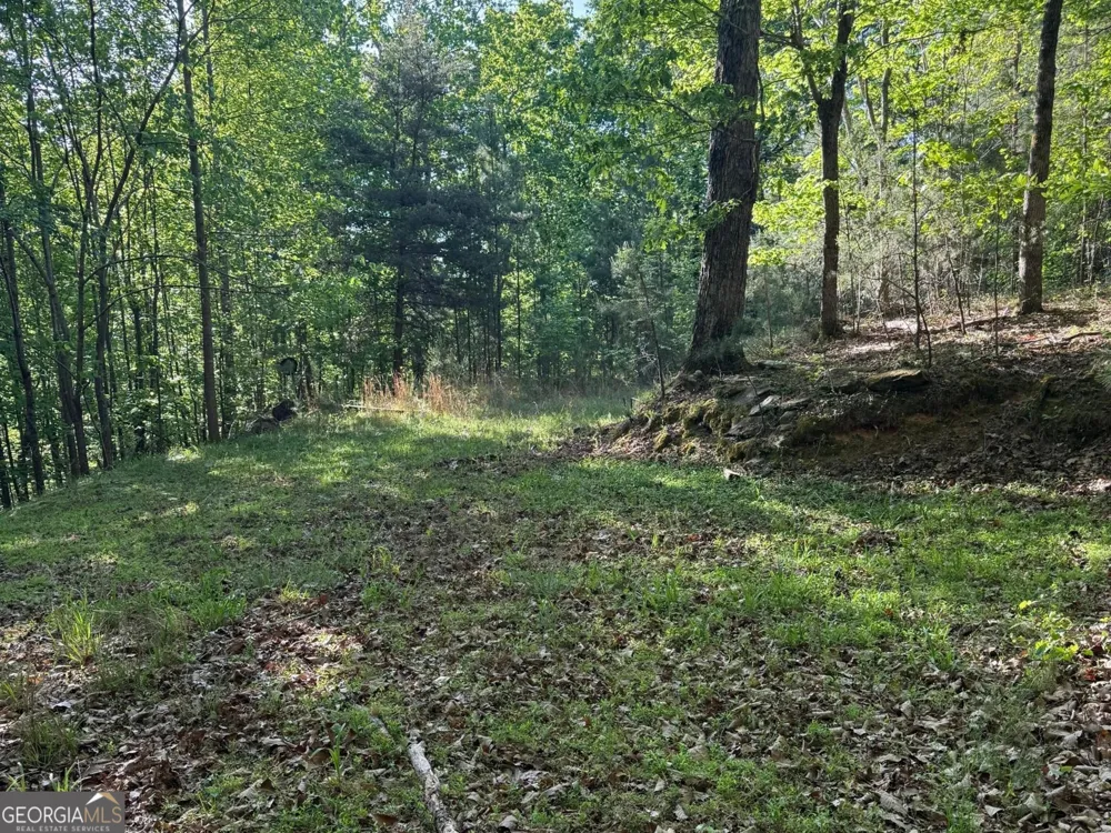 0 Baldwin Heights DR Baldwin, GA 30511