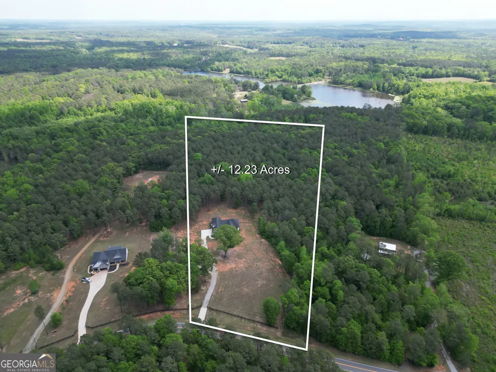 787 Silver Dollar RD Milner, GA 30257