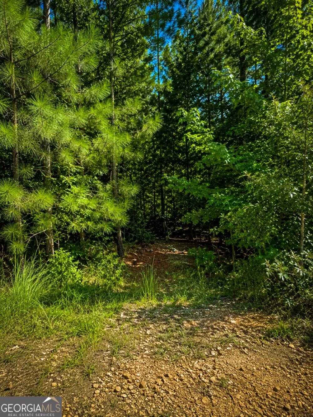 191 Shana DR SW Milledgeville, GA 31061