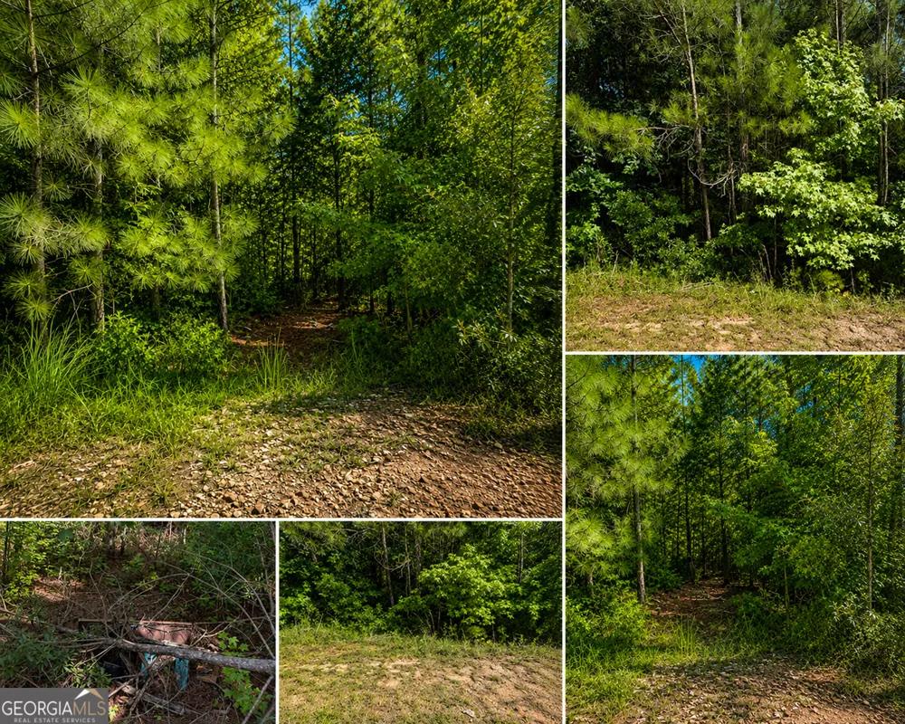 191 Shana DR SW Milledgeville, GA 31061