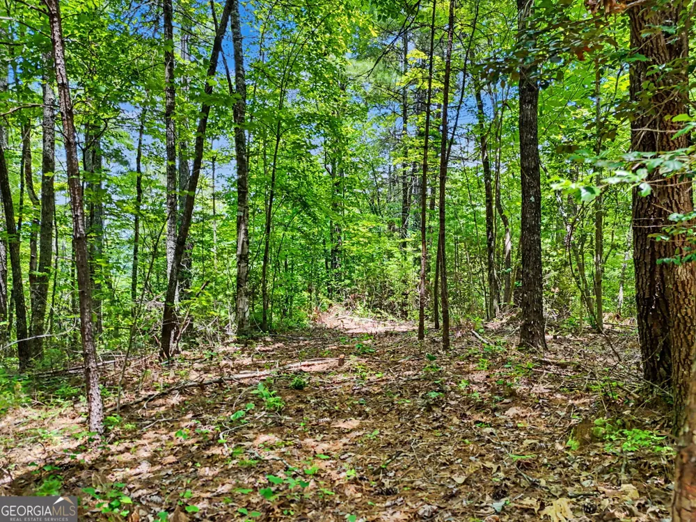 0 Hidden Falls DR Tiger, GA 30576