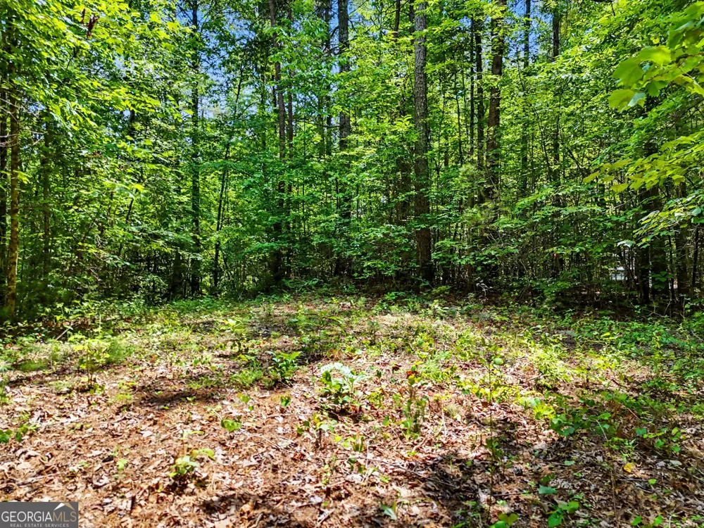 0 Hidden Falls DR Tiger, GA 30576