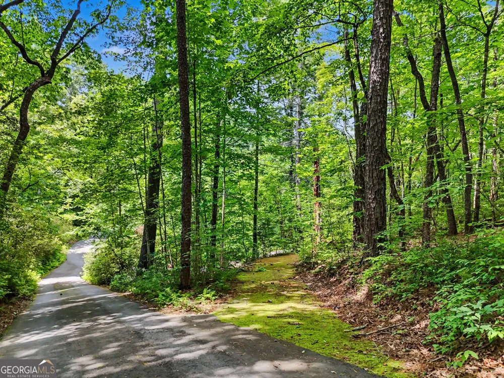 0 Hidden Falls DR Tiger, GA 30576