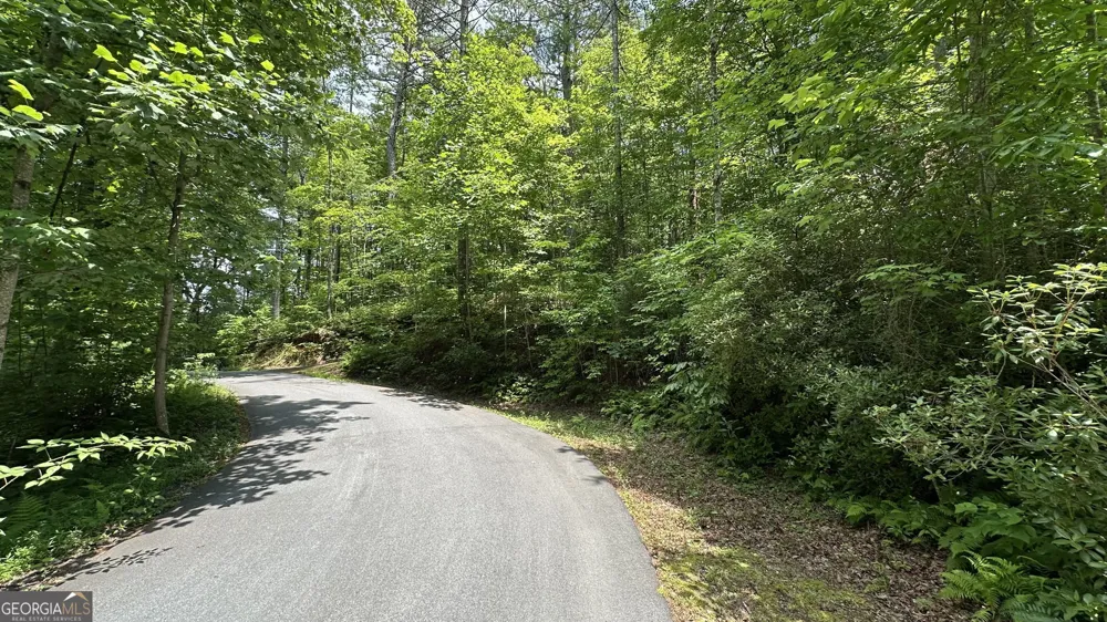 0 Hidden Falls DR Tiger, GA 30576