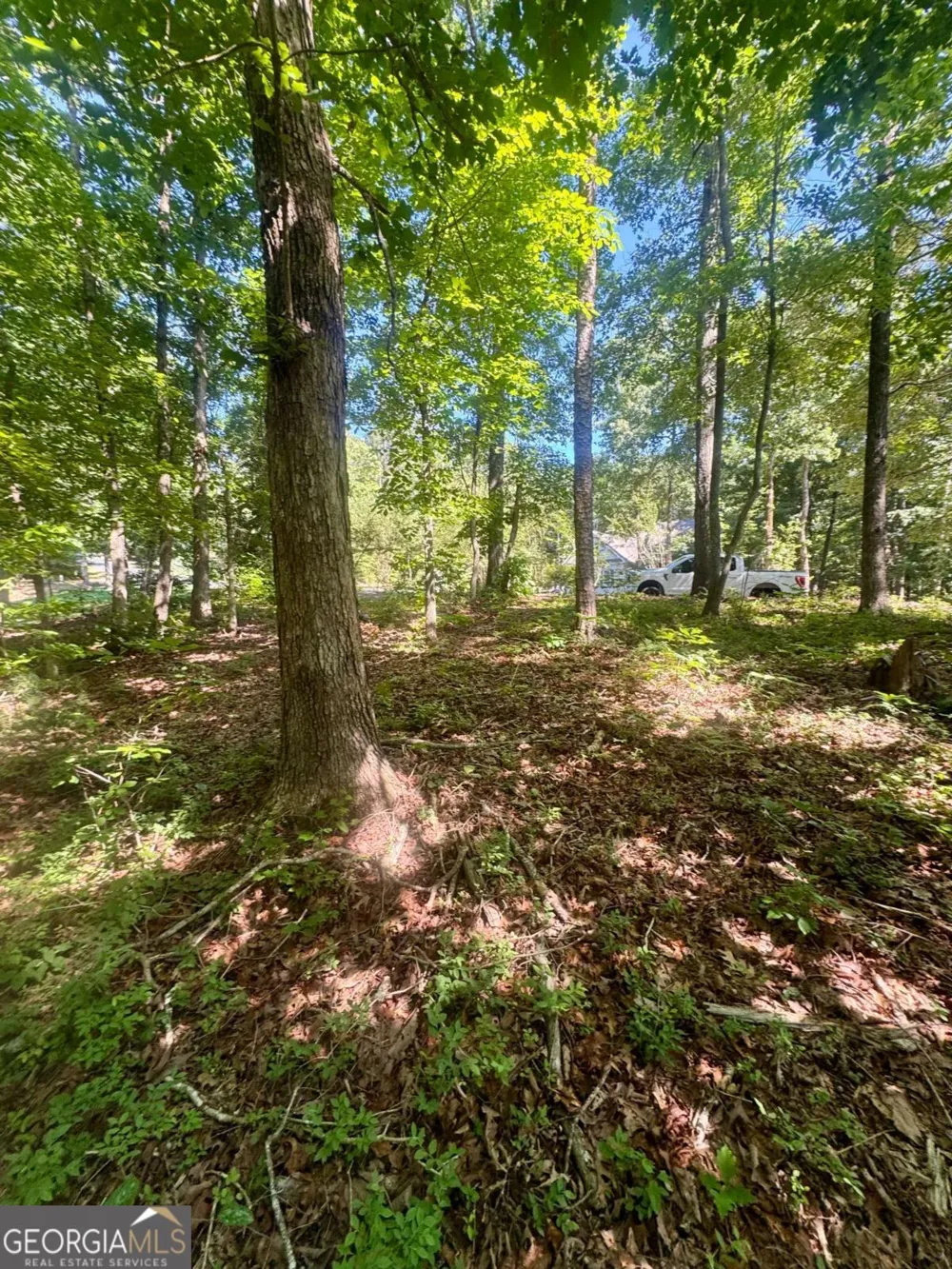 0 TEEL MOUNTAIN DR Cleveland, GA 30528