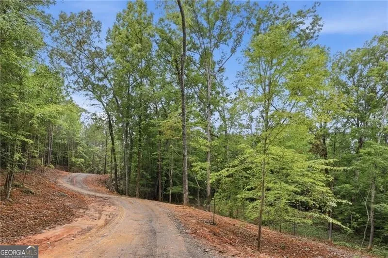 LOT 1 Pete PATH Dallas, GA 30157