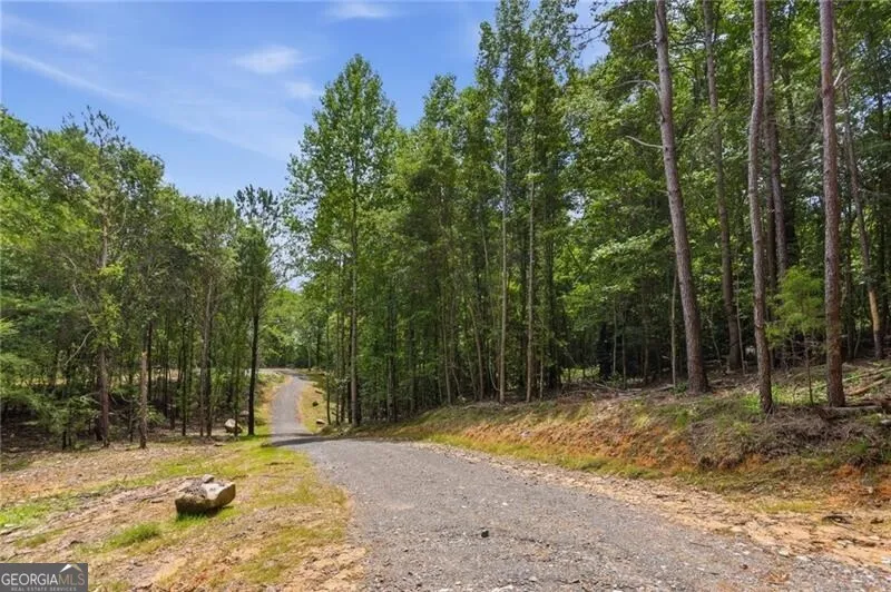 LOT 1 Pete PATH Dallas, GA 30157