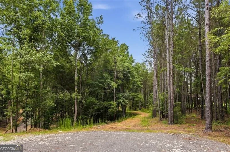 LOT 2 Pete PATH Dallas, GA 30157
