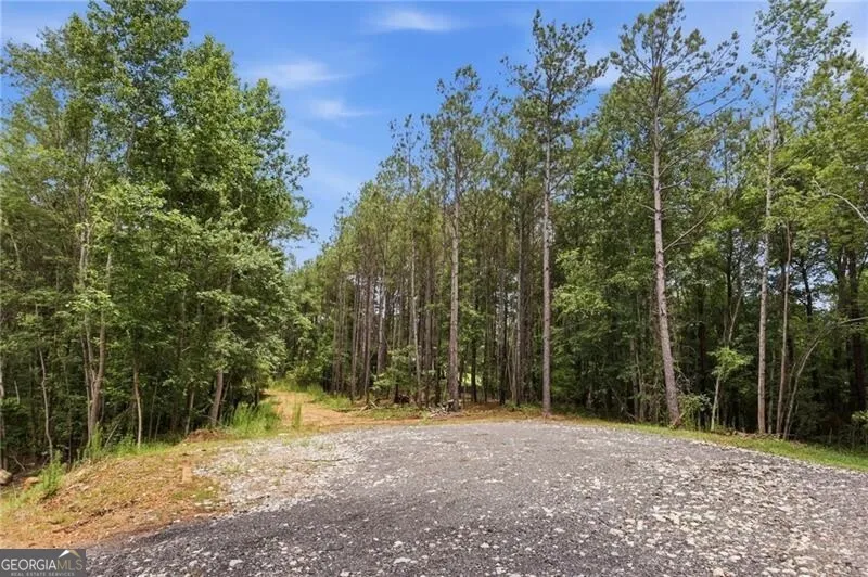 LOT 2 Pete PATH Dallas, GA 30157