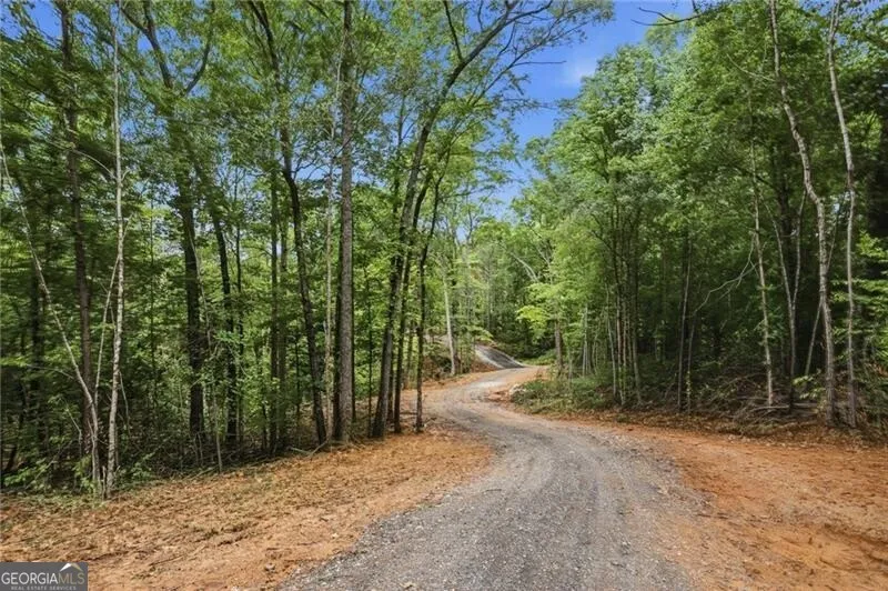 LOT 2 Pete PATH Dallas, GA 30157