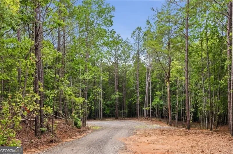 LOT 2 Pete PATH Dallas, GA 30157