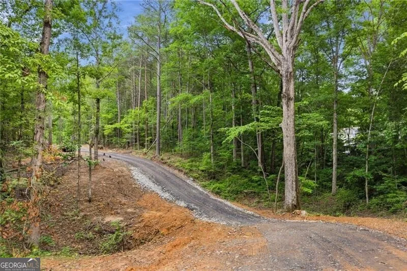 LOT 2 Pete PATH Dallas, GA 30157