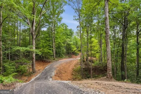 LOT 2 Pete PATH