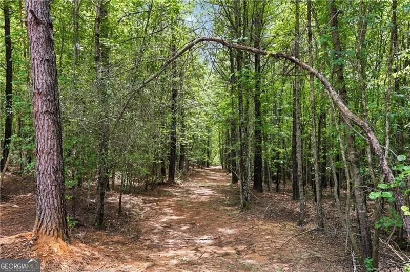 LOT 2 Pete PATH Dallas, GA 30157