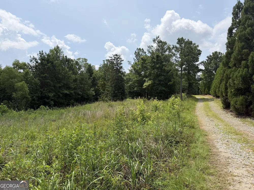2415 Grand Harbour CT Lizella, GA 31052