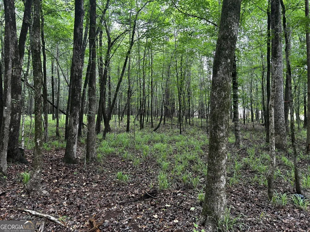 209 Winding River RD Eatonton, GA 31024