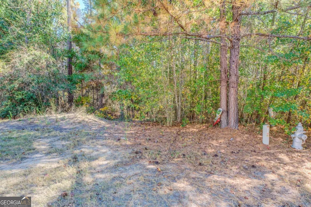1470 River Station DR Lawrenceville, GA 30045