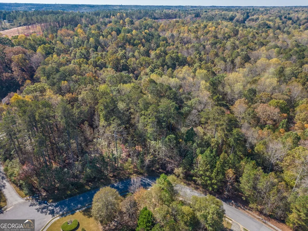 1461 River Station DR Lawrenceville, GA 30045