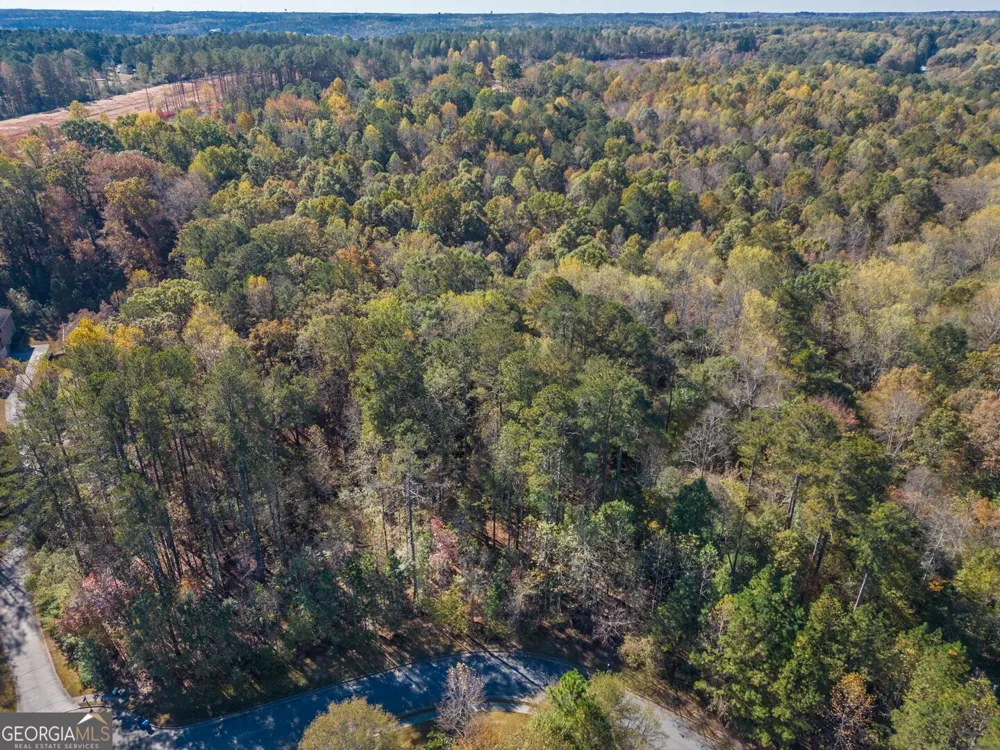 1461 River Station DR Lawrenceville, GA 30045