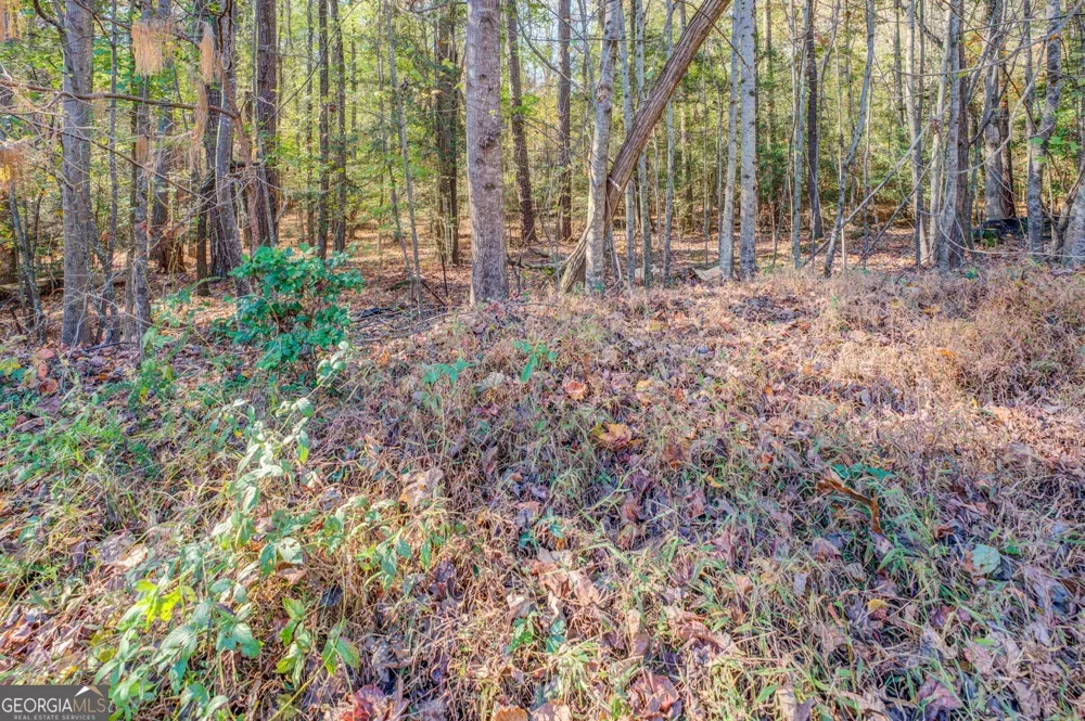 1461 River Station DR Lawrenceville, GA 30045