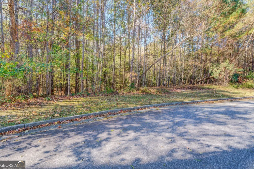 1461 River Station DR Lawrenceville, GA 30045