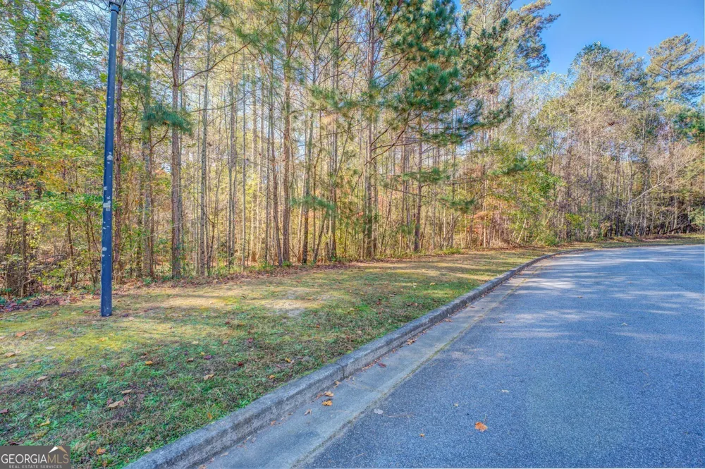 1461 River Station DR Lawrenceville, GA 30045