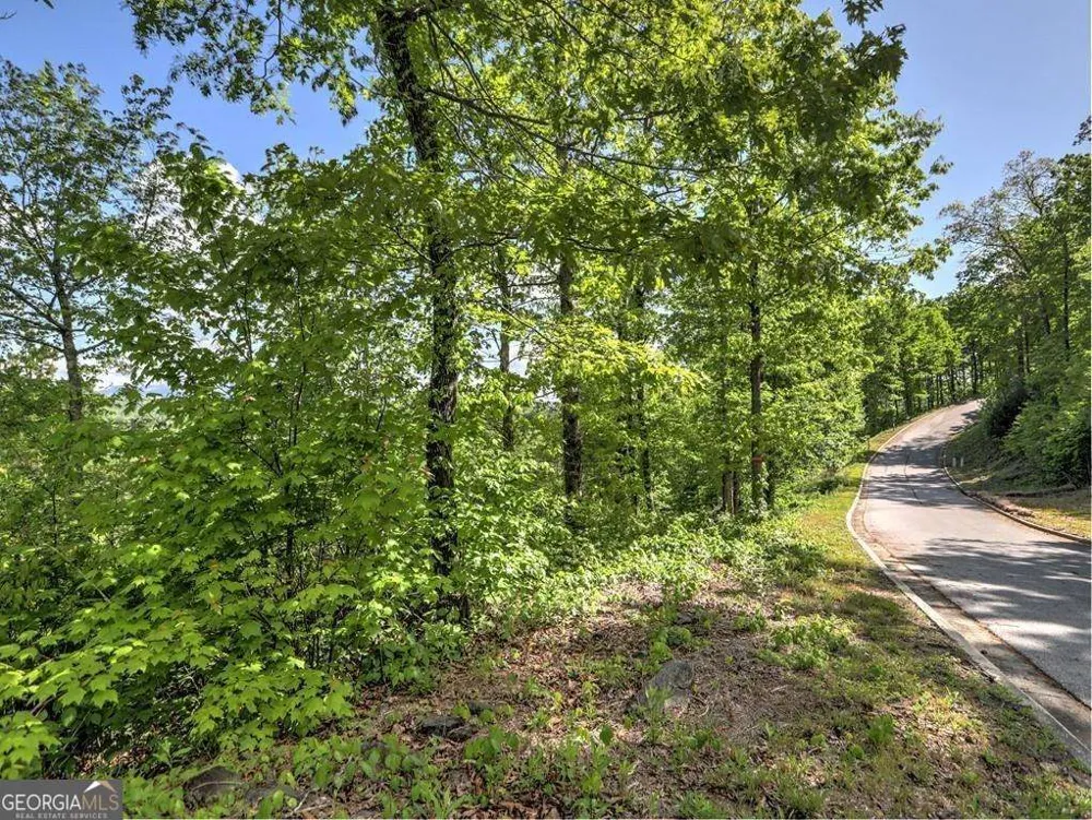 0 Bent Grass Way Clayton, GA 30525