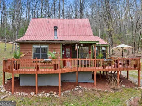 541 Black Ankle Creek RD