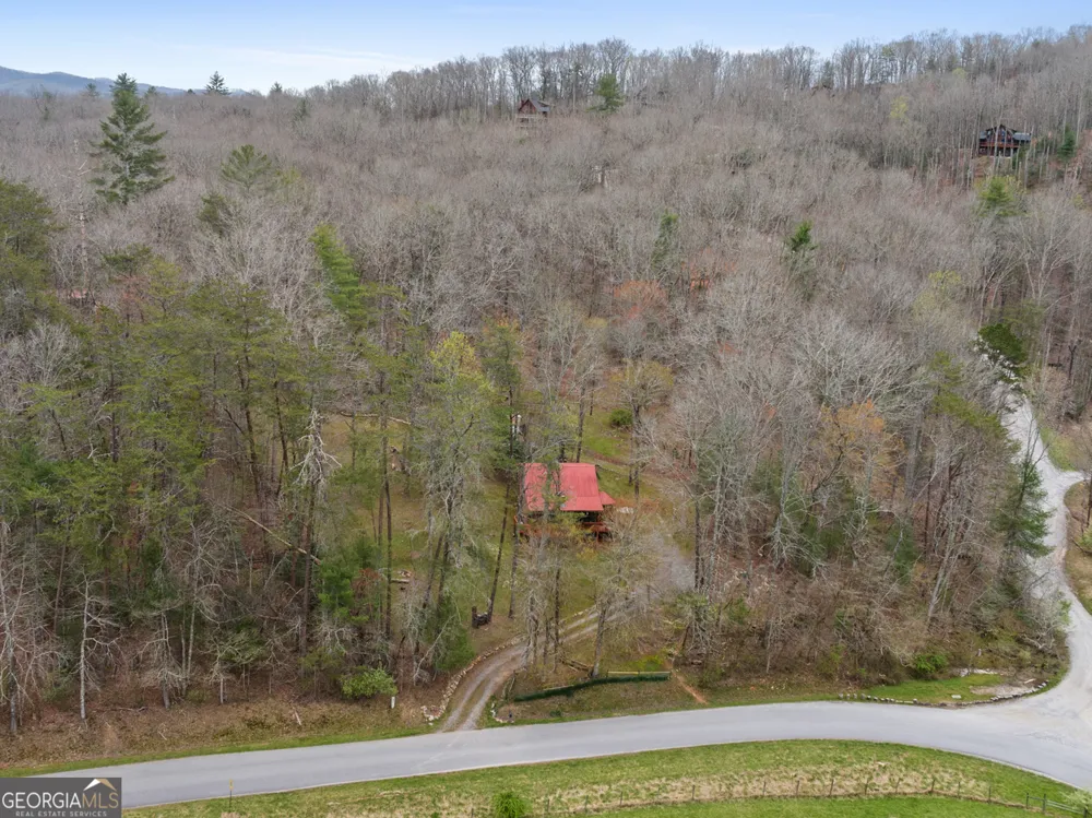 541 Black Ankle Creek RD Cherry Log, GA 30522
