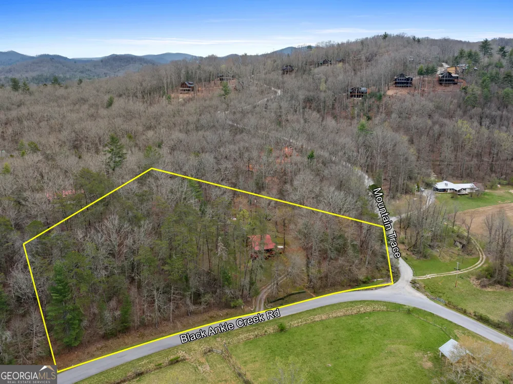 541 Black Ankle Creek RD Cherry Log, GA 30522