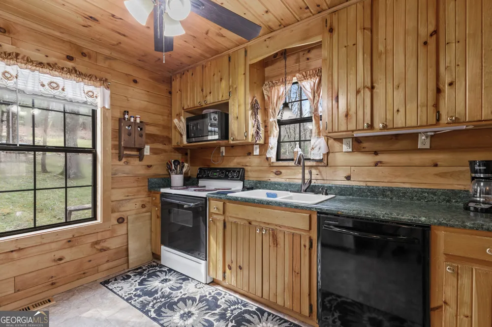541 Black Ankle Creek RD Cherry Log, GA 30522