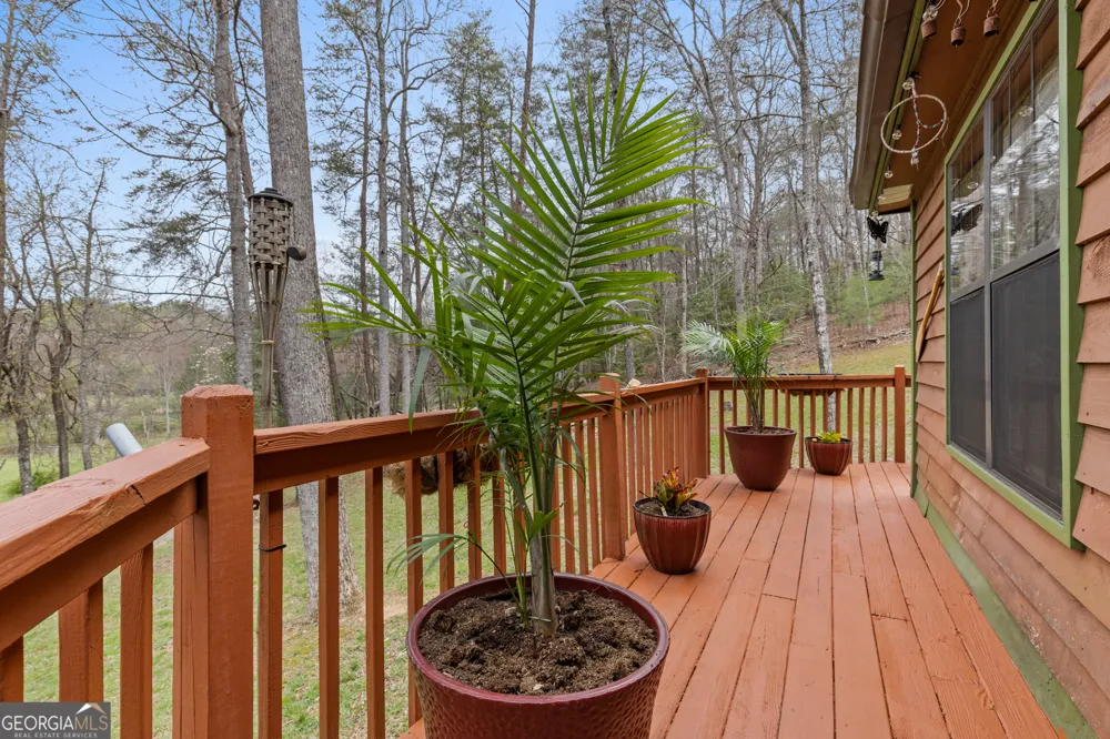 541 Black Ankle Creek RD Cherry Log, GA 30522