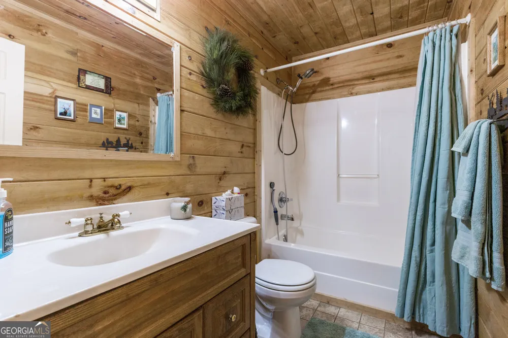 541 Black Ankle Creek RD Cherry Log, GA 30522
