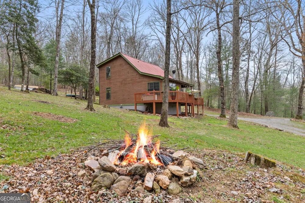 541 Black Ankle Creek RD Cherry Log, GA 30522