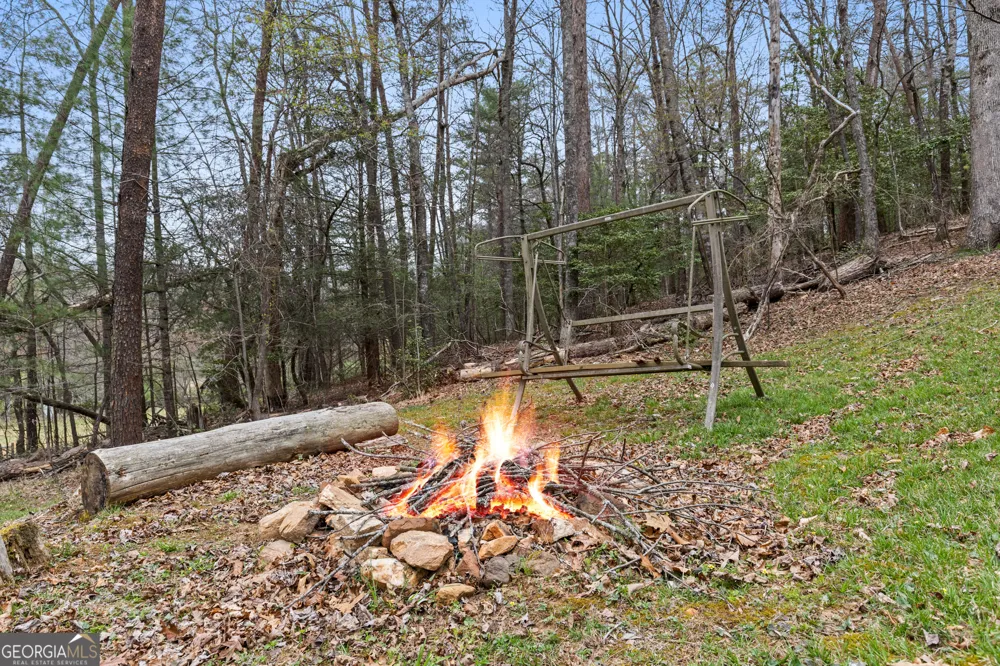 541 Black Ankle Creek RD Cherry Log, GA 30522