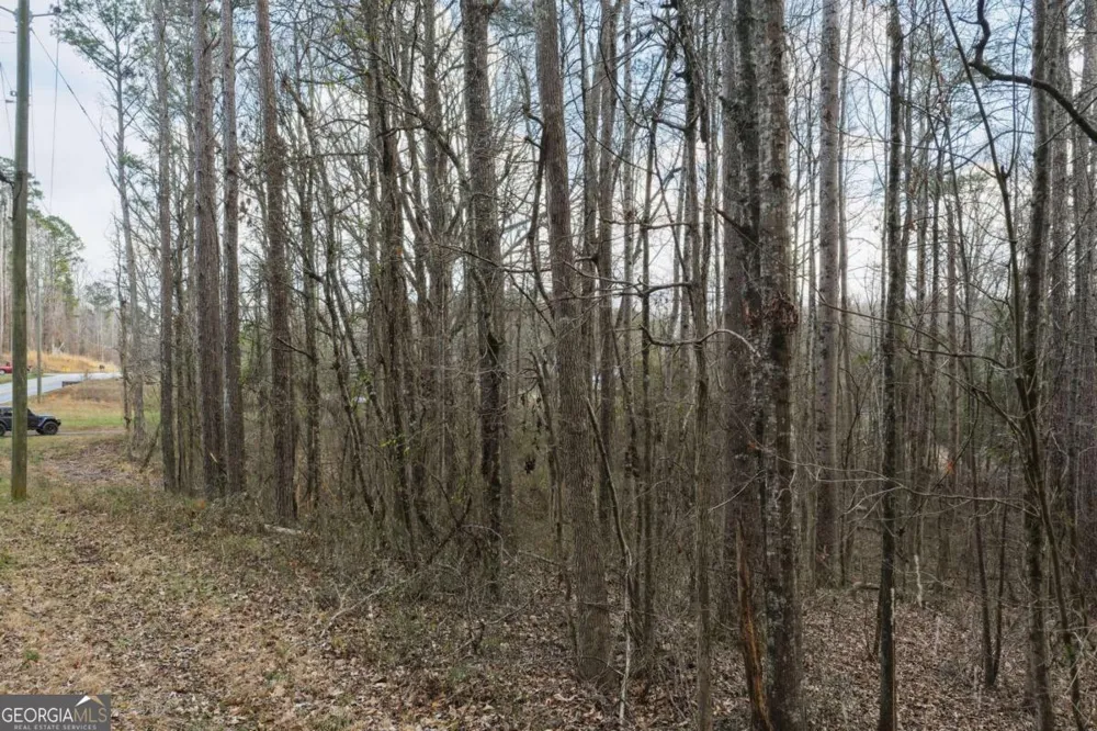 1156 Garmon RD Hiram, GA 30141