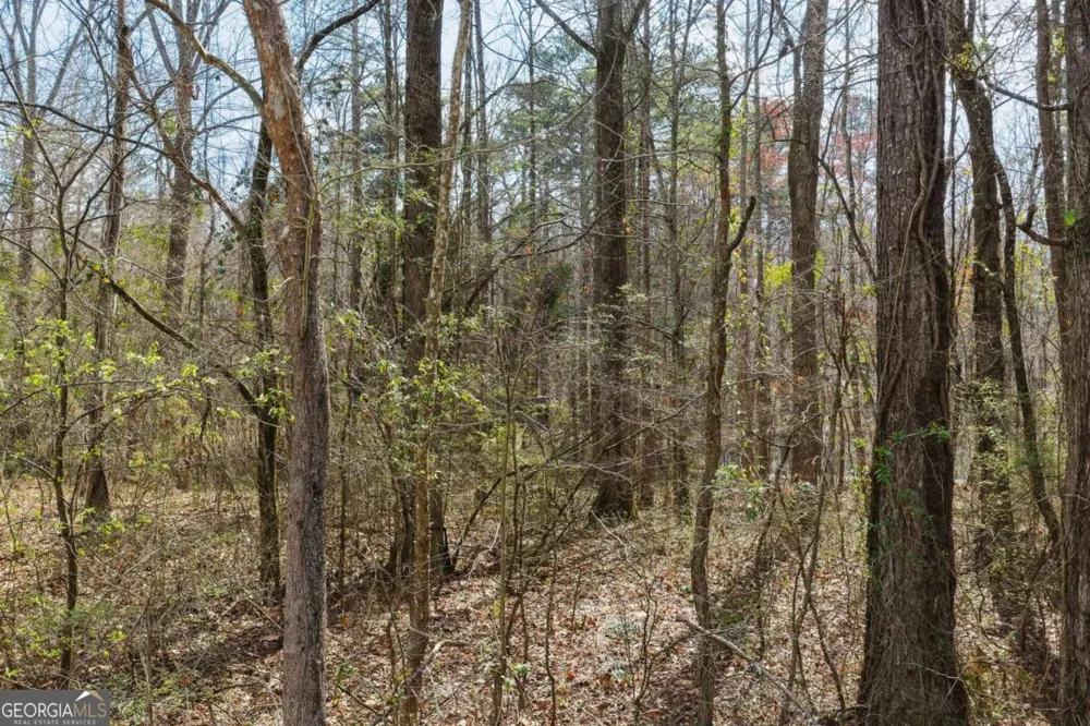 1156 Garmon RD Hiram, GA 30141