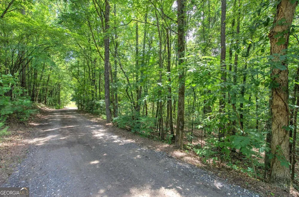 331 Salacoa RD SE Fairmount, GA 30139