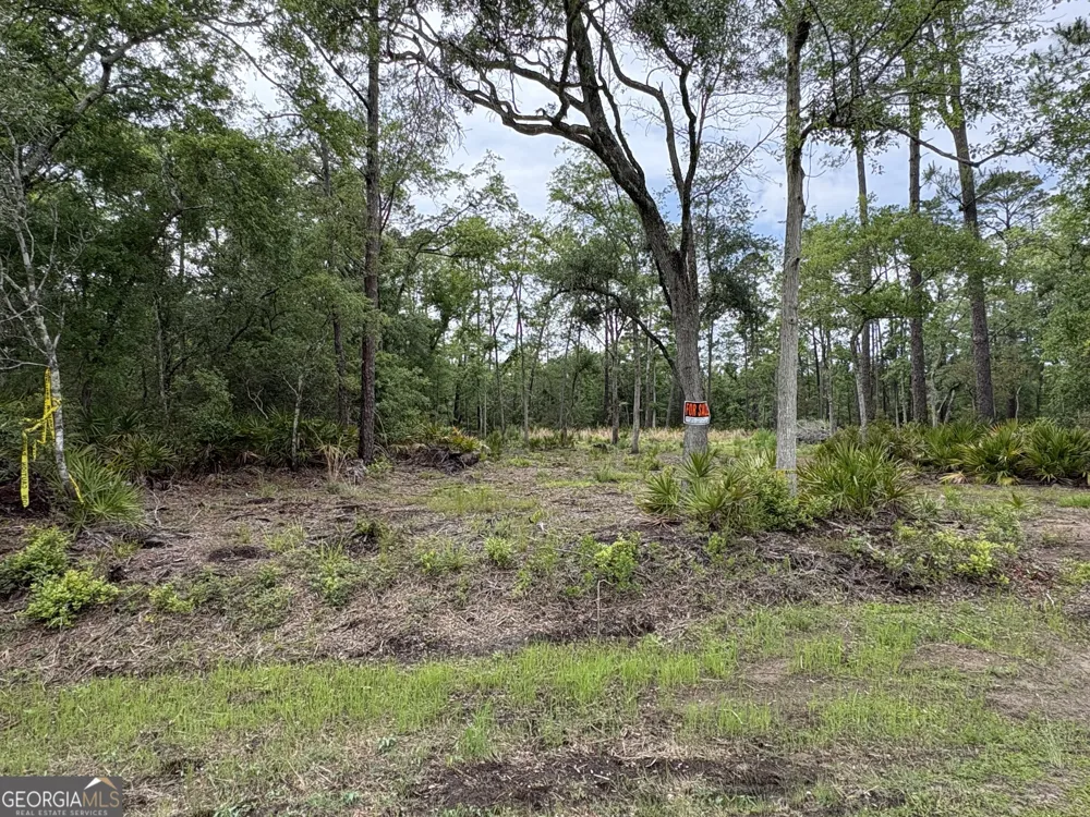 0 Piney Bluff Lot 5 RD Waverly, GA 31565