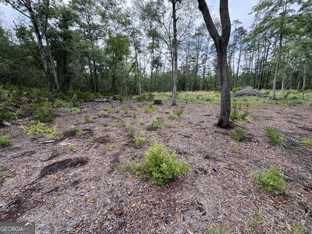 0 Piney Bluff Lot 5 RD Waverly, GA 31565
