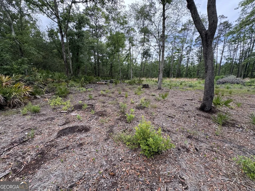 0 Piney Bluff Lot 5 RD Waverly, GA 31565