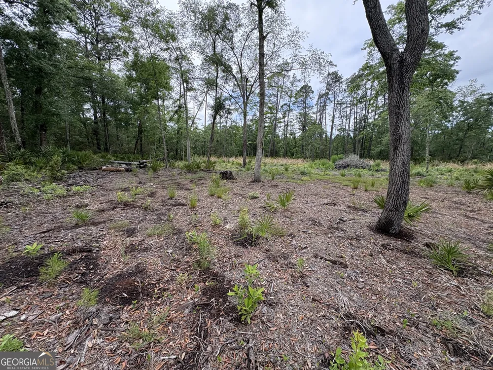 0 Piney Bluff Lot 5 RD Waverly, GA 31565